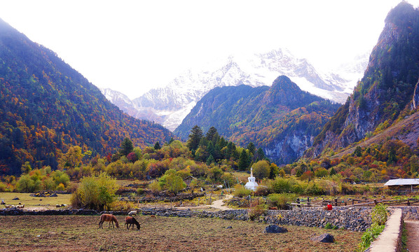 云南香格里拉徒步雨崩梅里雪山