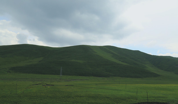 草原草地