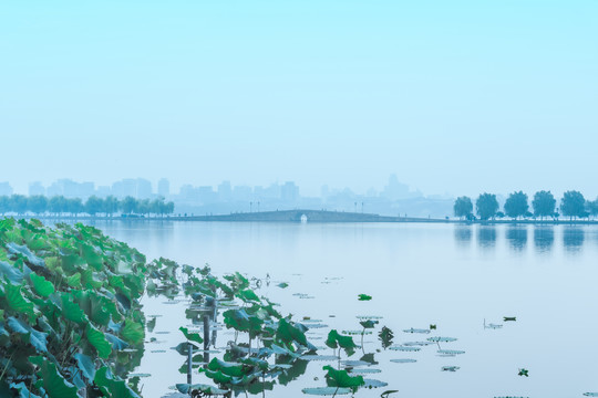 杭州西湖锦带桥晨景