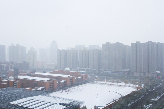 雪景