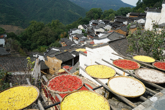 江西婺源篁岭晒秋人家美景