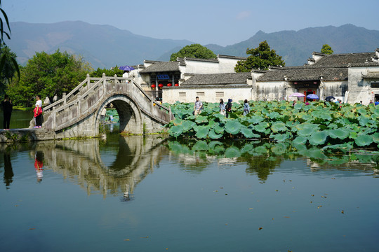 黄山宏村南湖画桥荷叶和建筑