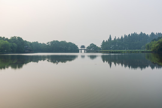 杭州西湖曲院风荷岳湖晨景