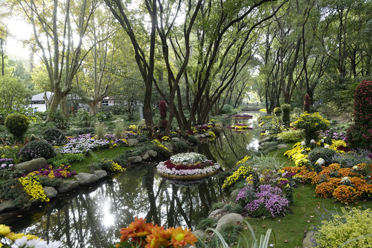 第十三届中国菊花展花卉景观