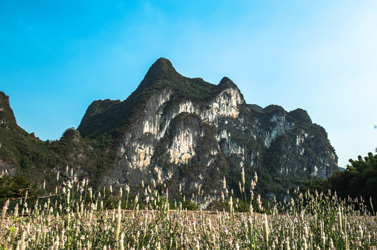 桂林山水九马画山