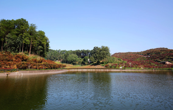 重庆南湖多彩植物园