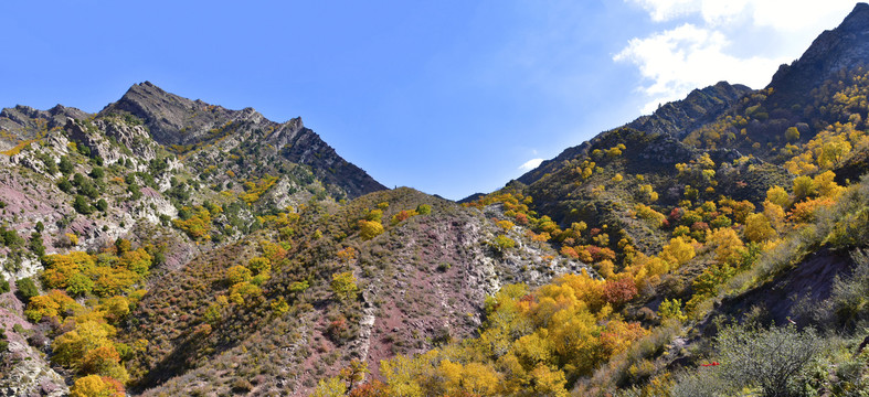 山岭秋色