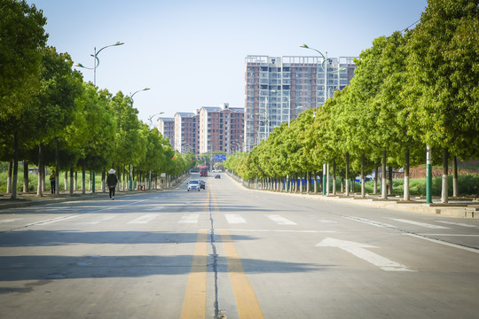 柏油路