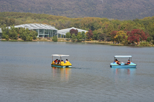 中山植物园前湖公园