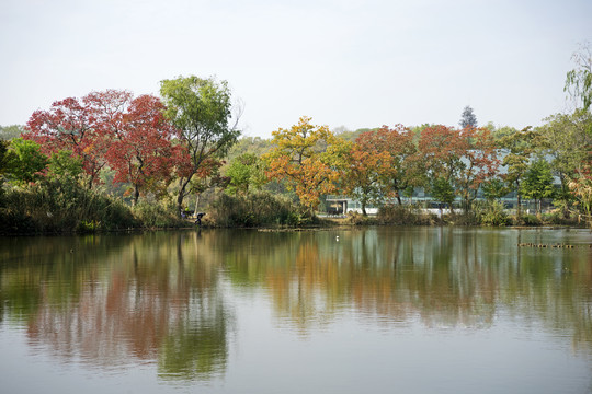 南京前湖公园