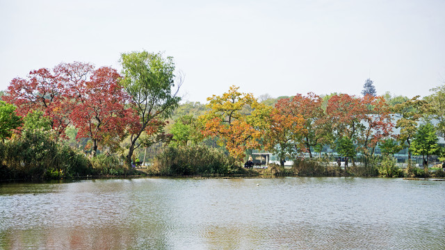 南京前湖公园
