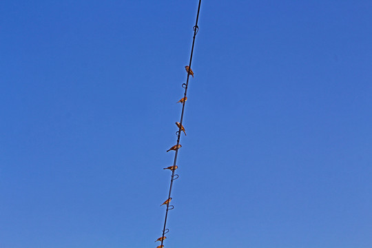 天空