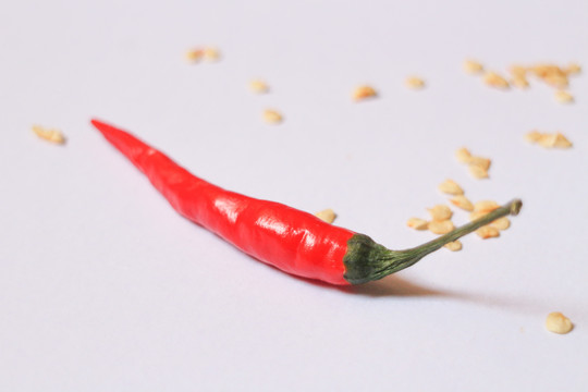小辣椒
