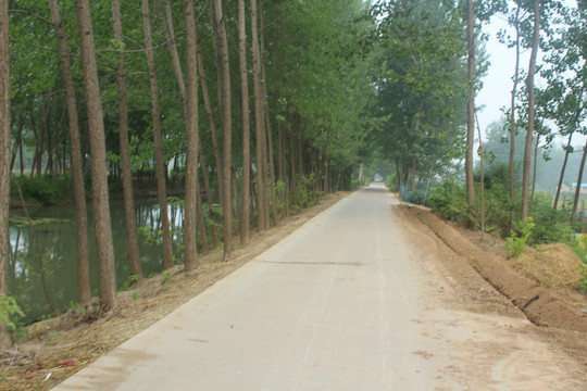 乡间小路