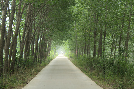 乡间小路