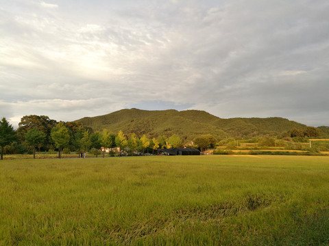 山野田园