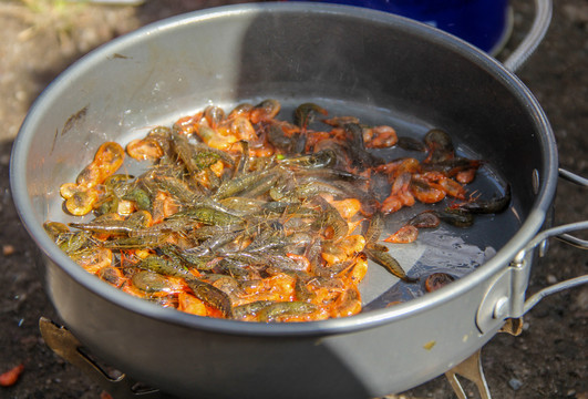 野炊炒虾