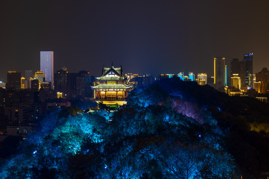 武汉黄鹤楼公园夜景灯光秀风光