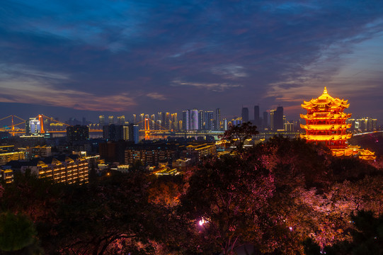 武汉黄鹤楼公园夜景灯光秀风光