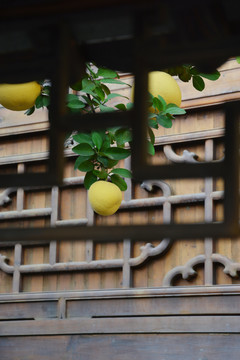 古建筑与柚子果