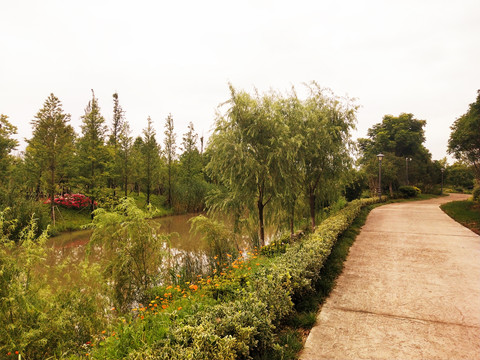 郊野公园上海