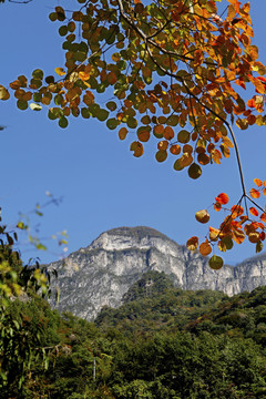 太行山脉新乡关山风光