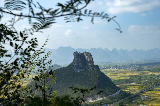 青山入画来