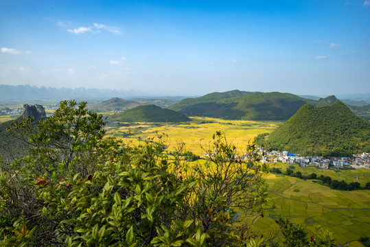 风景画