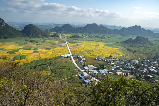 乡村秋天风景