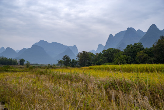 风景