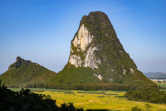 山