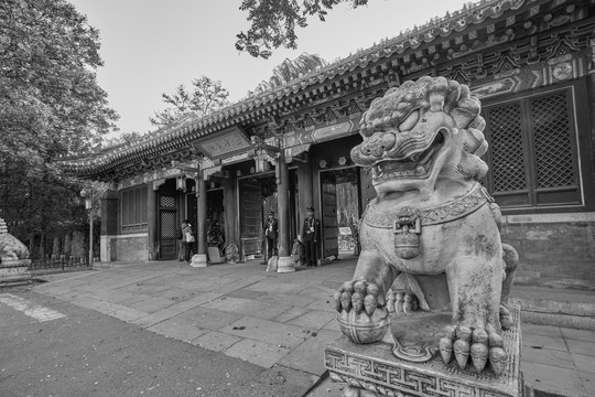 北京大学老校门