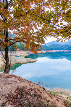 秋日湖景