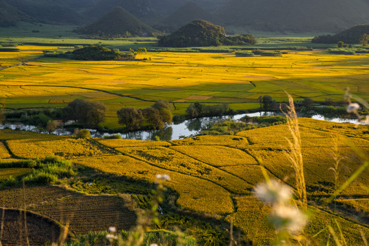 阳光风景