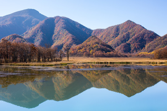 大九湖秋色