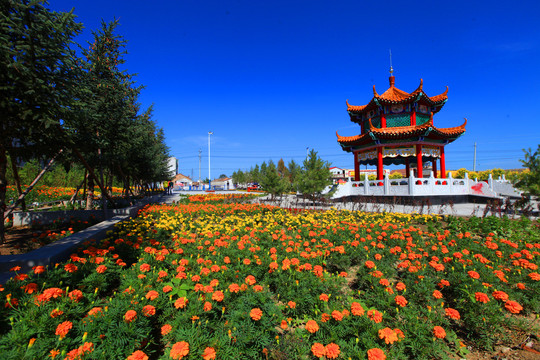 风景塔