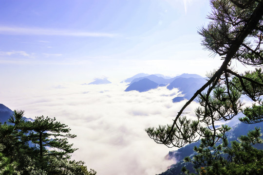 羊狮幕大峡谷