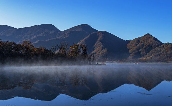 神农架大九湖