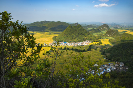 秋天风景