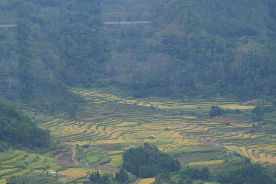 云南龙川梯田