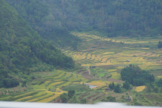 腾冲龙川梯田