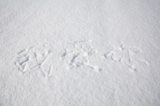 雪地书法字我爱你