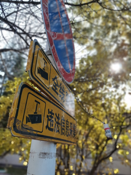指示牌