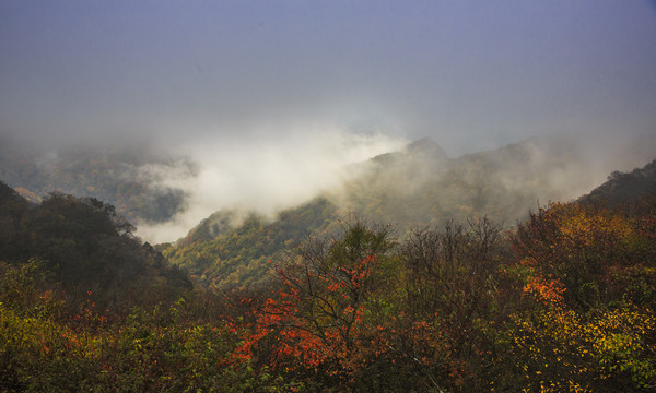 彩色的米仓山38