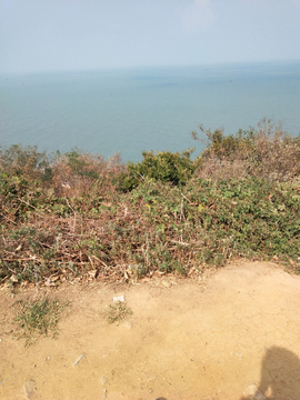野外