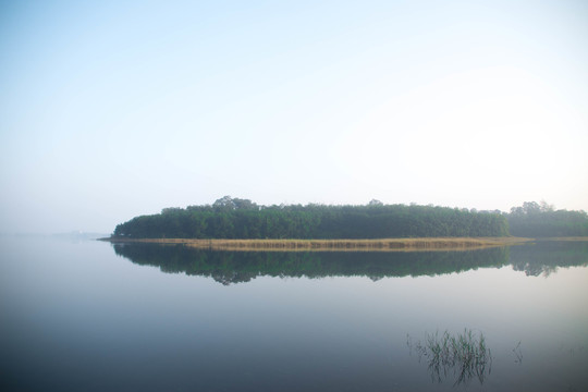 平静的湖水