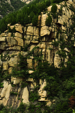 高山岩石绝壁