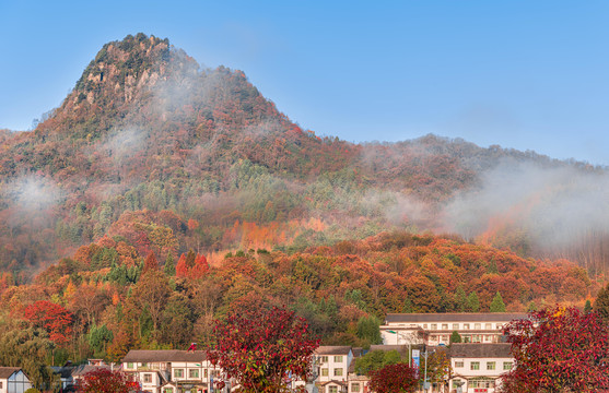 南江光雾山秋色