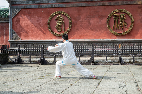 武当山太子坡太极拳