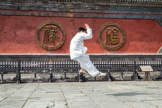 武当山太子坡太极拳